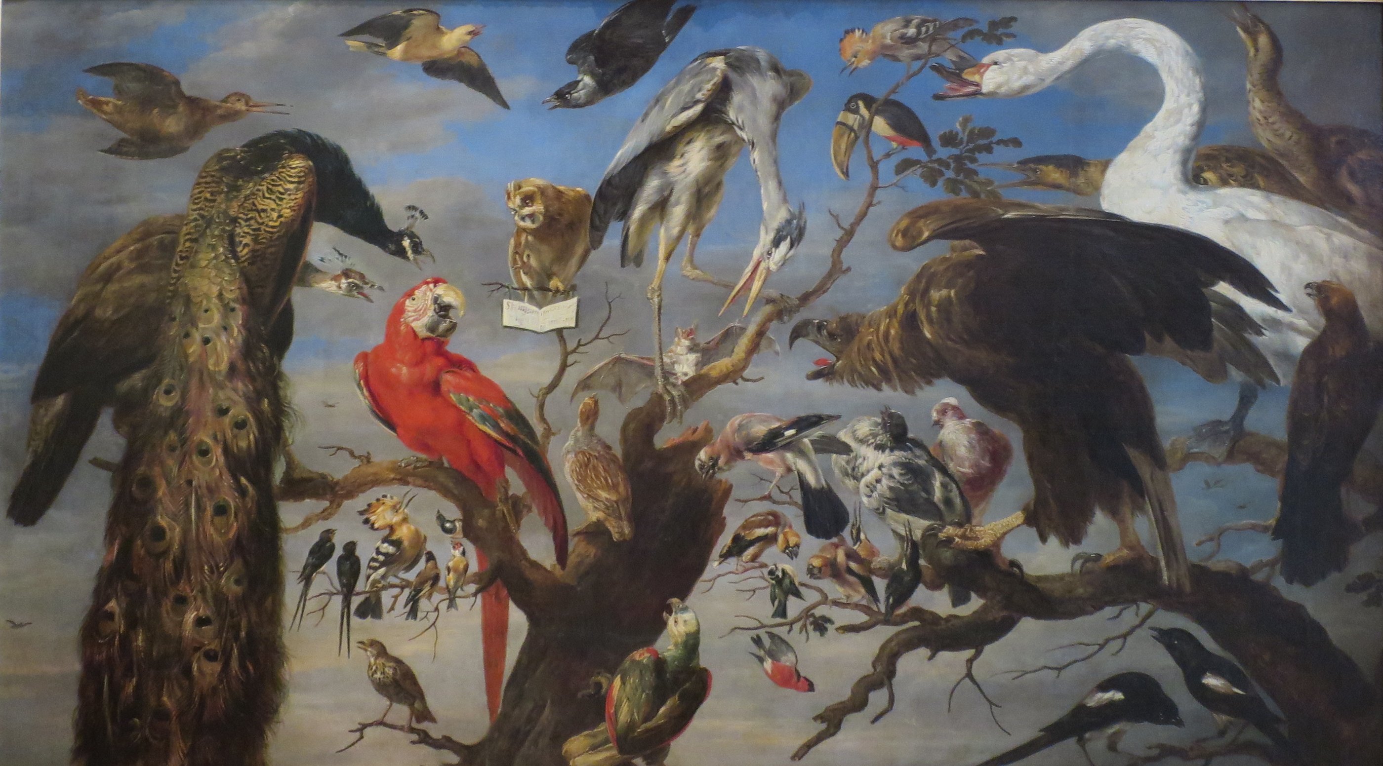Frans Snyders《鸟的音乐会》(c.1630)